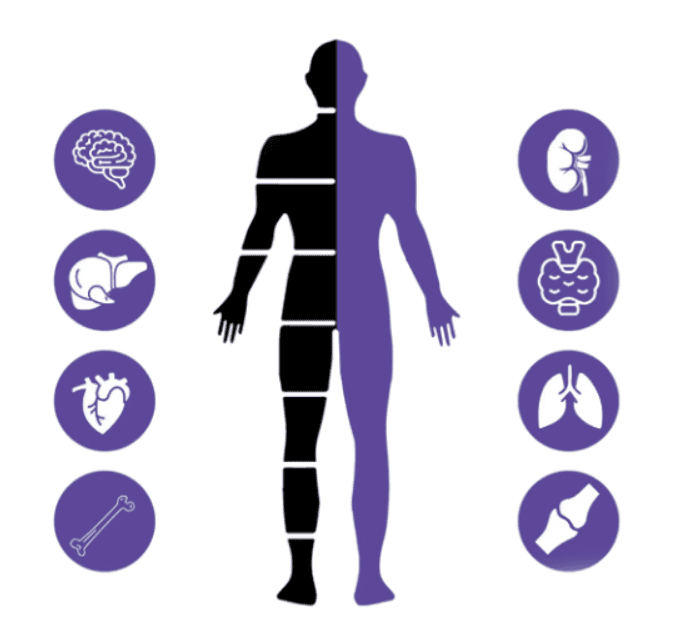Comprehensive Body Scan